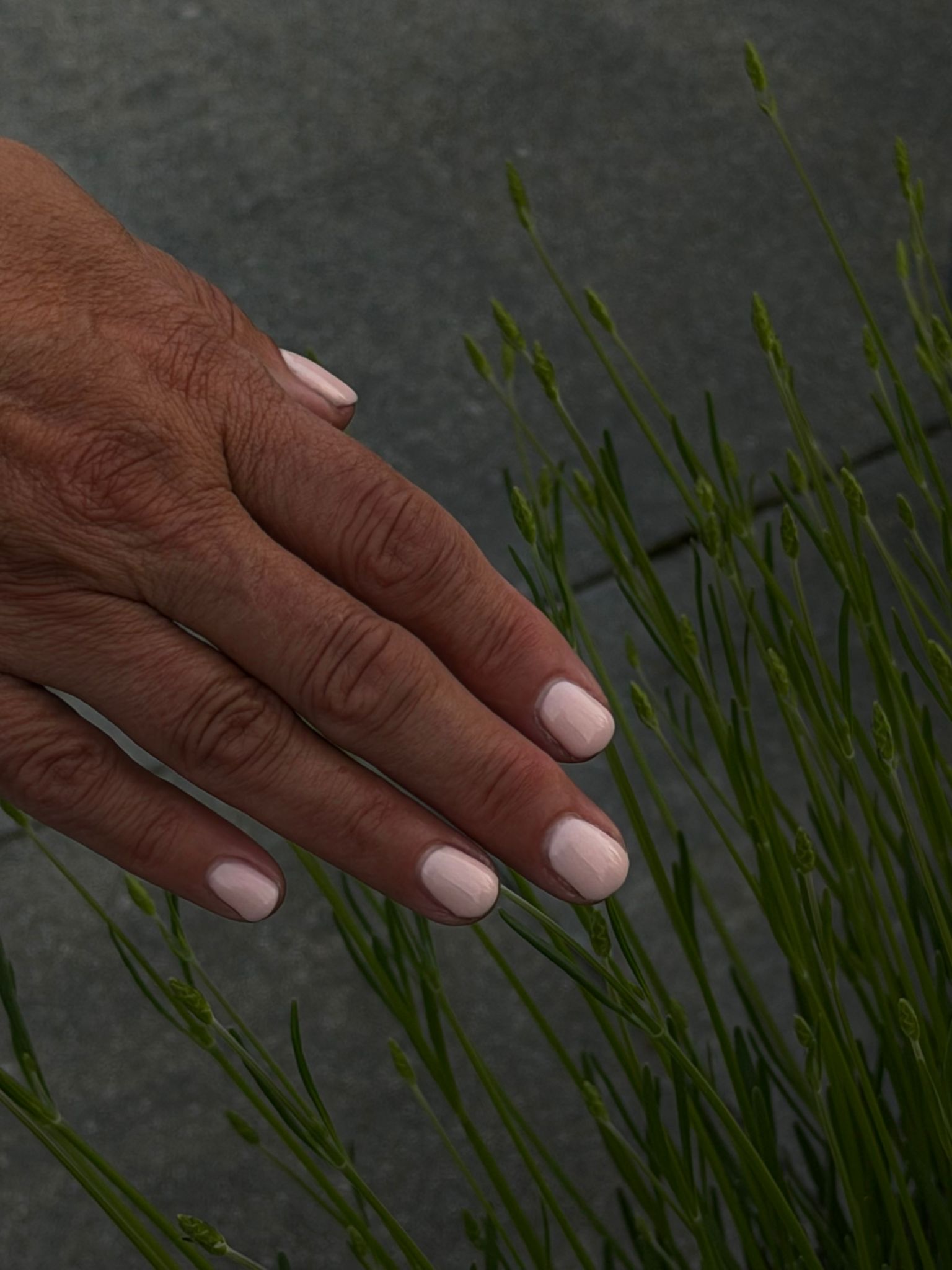Glitter mauve nagels